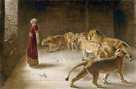 The Lions Den .